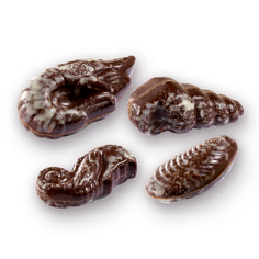 Leonidas Seafood Dark Chocolate (single piece)